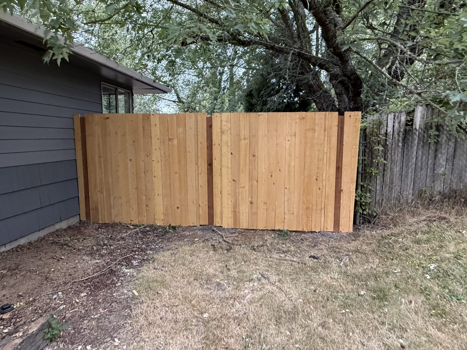 New section, old fence beyond · Portland, OR