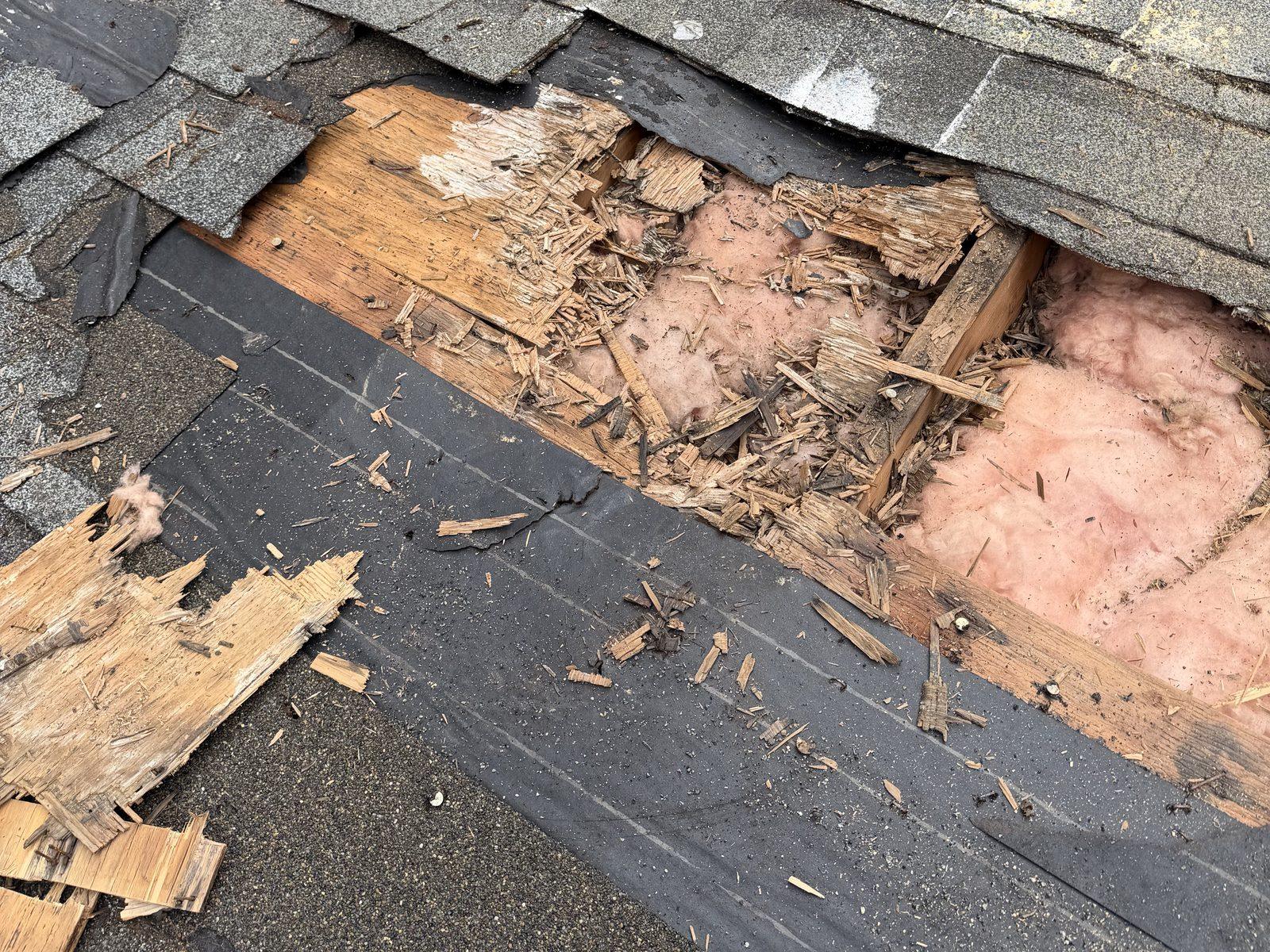 Roof rot opened up — before · Ridgefield, WA
